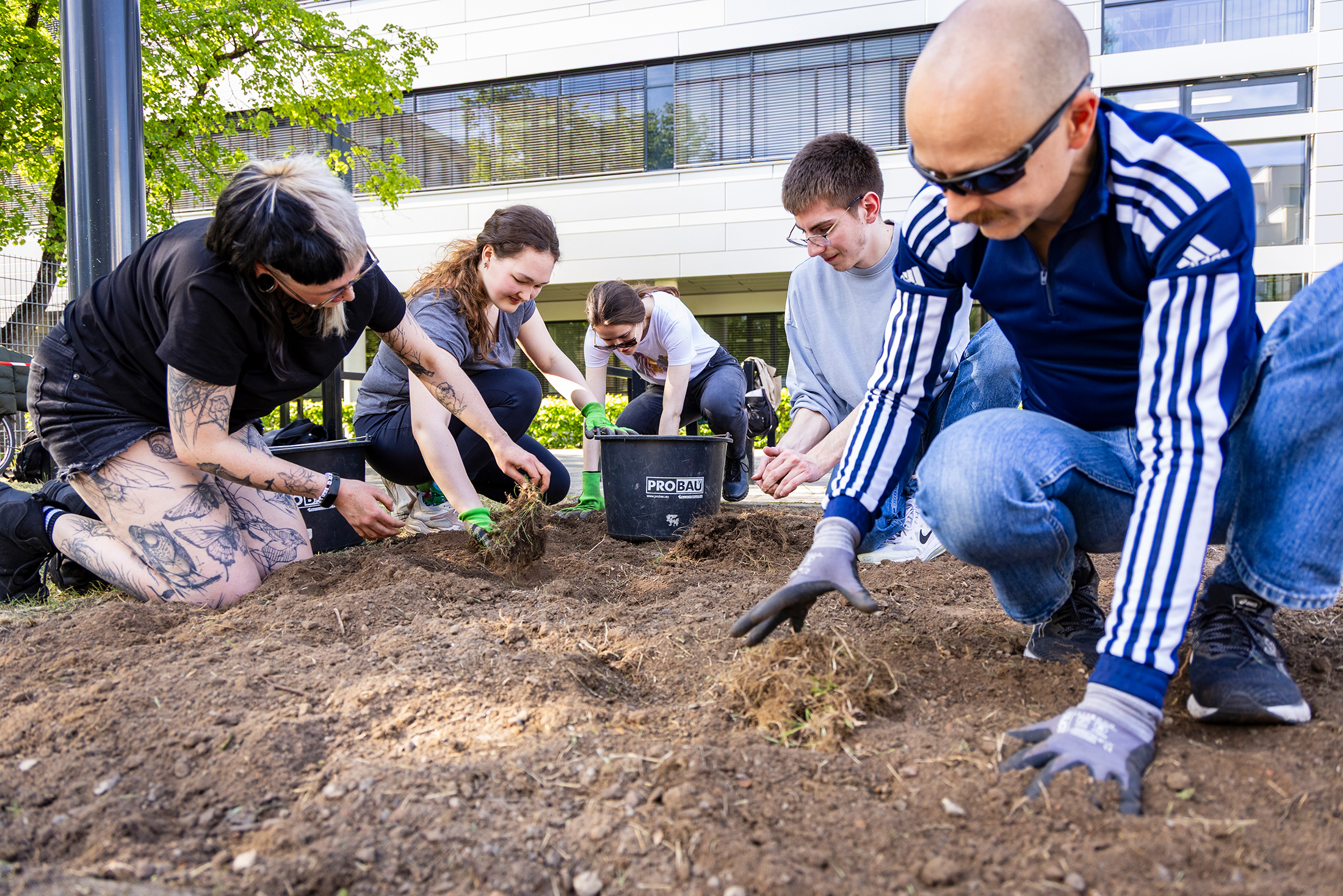 Studierende knien im Beet und bereiten es fürs Pflanzen der Setzlinge vor