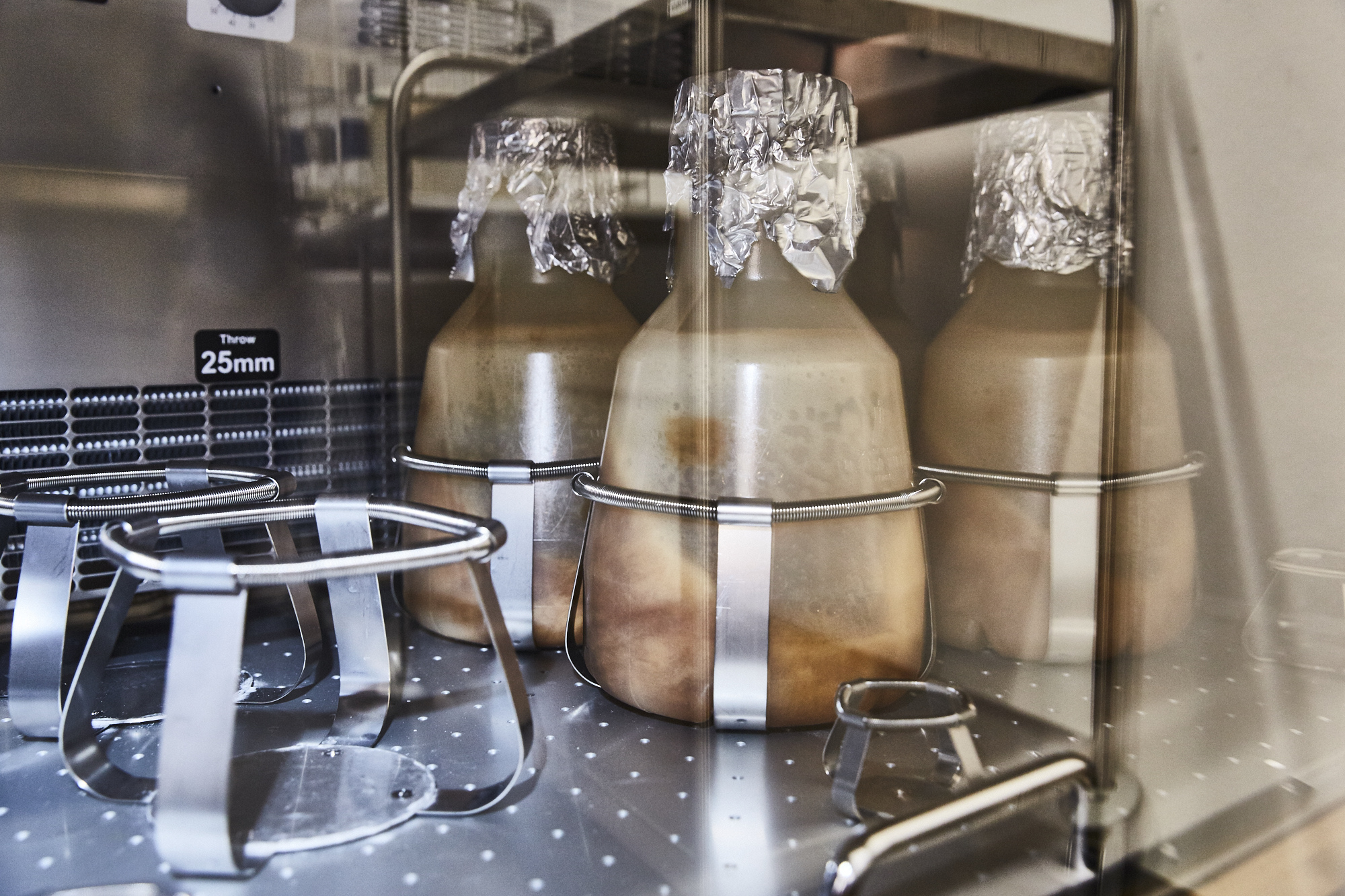 Blick auf ein Laborgerät mit großen Glaskolben mit E.coli-Bakterien in einer braunen Nährlösung. 