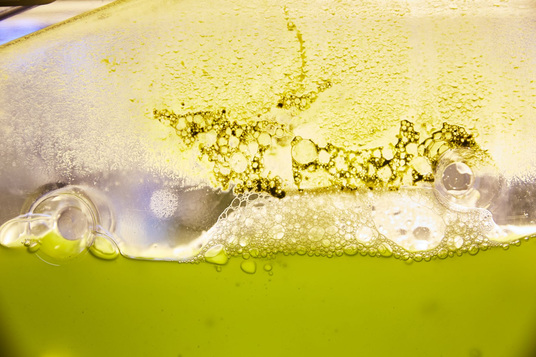 Green bubbling cell liquid in the algae reactor