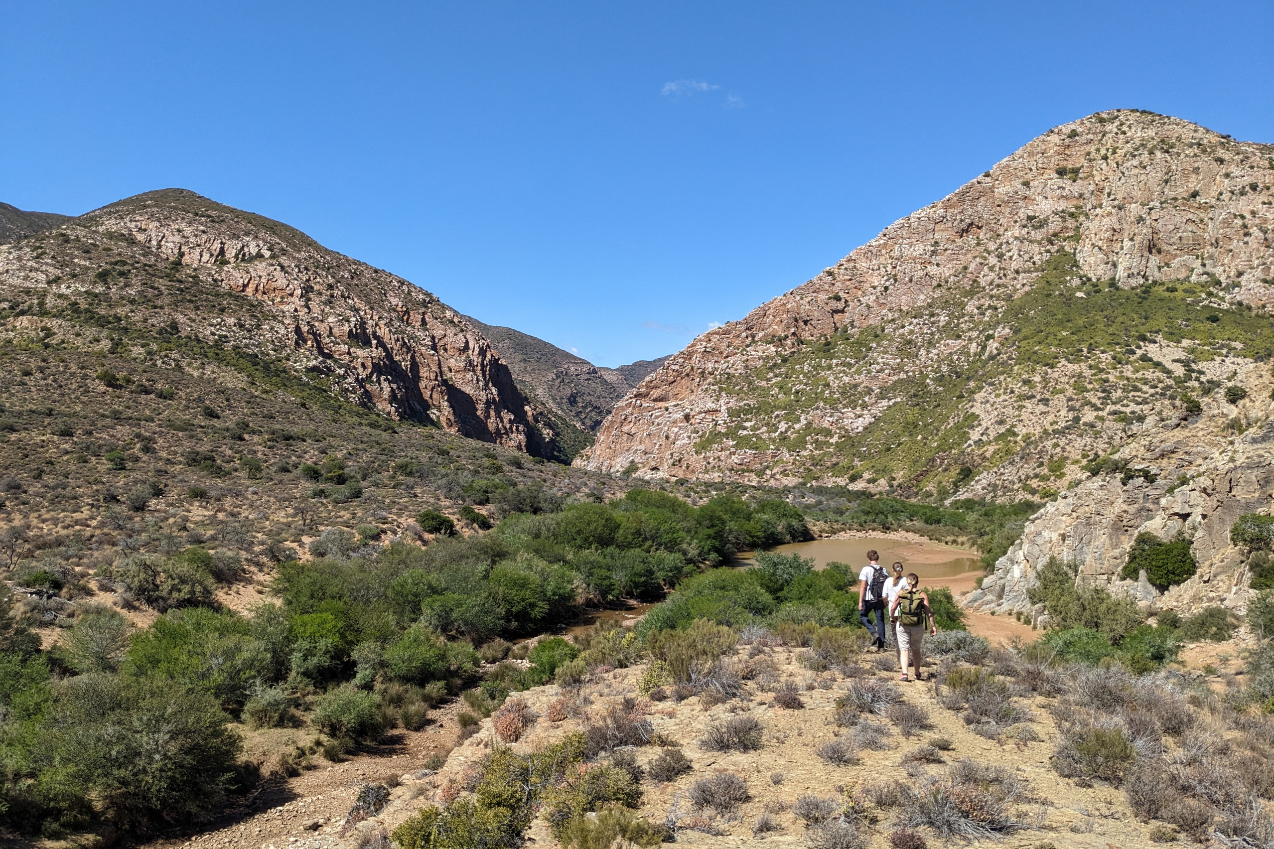 Drei Wanderinnen in einer südafrikanischen Hügellandschaft 