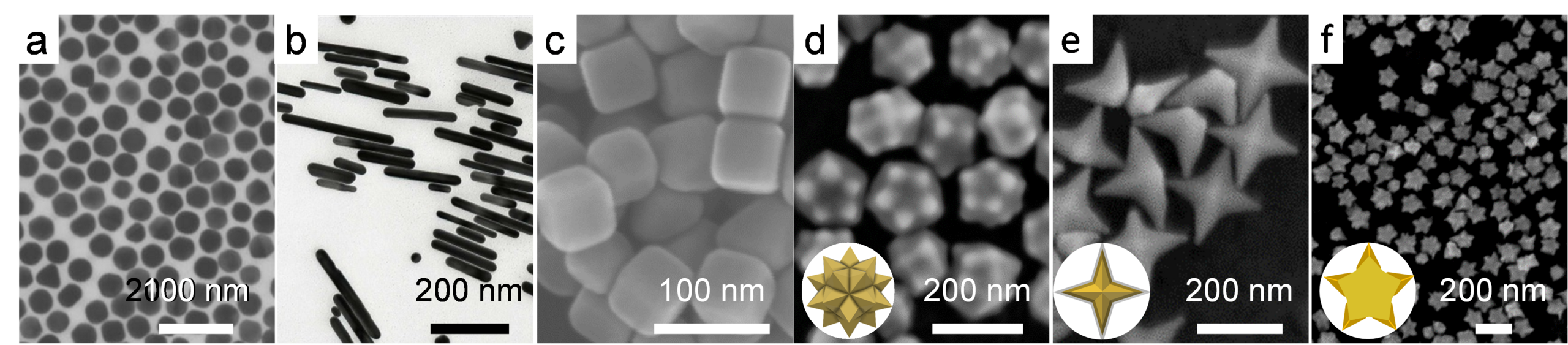 Transmission and scanning electron microscope images of (a) gold nanospheres, (b) gold nanorods, (c) gold nanocubes, (d) symmetrical gold nanostars with twenty points, (e) nanoshurikens and (f) pentagonal nanostars: All were produced by Christina Graf’s research group.
