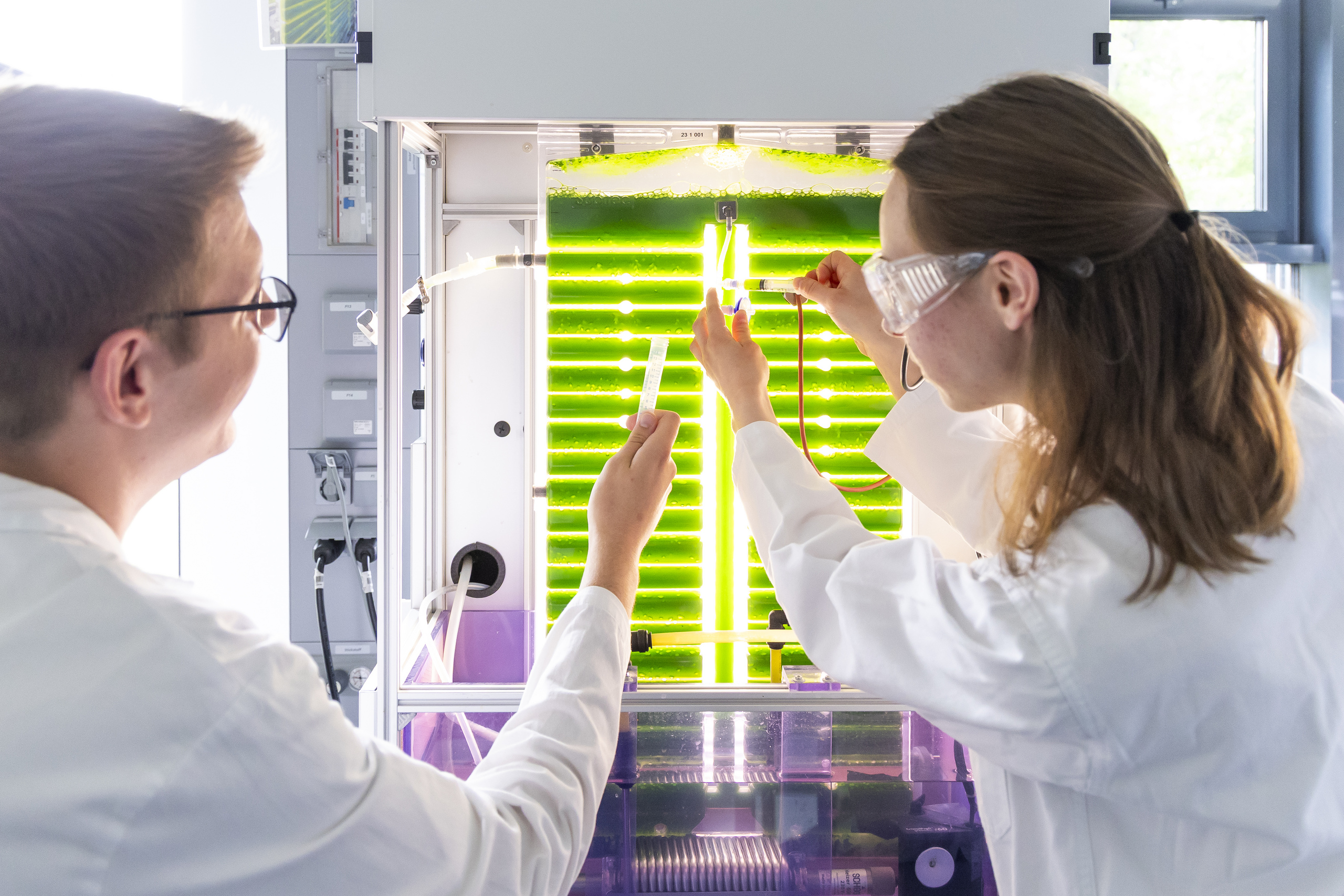 Zwei Studierende arbeiten an den Photobioreaktoren im Labo
