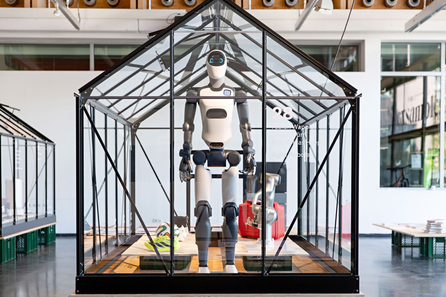 Robo im Schaukasten